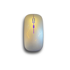 RGB wireless rechargeable mouse